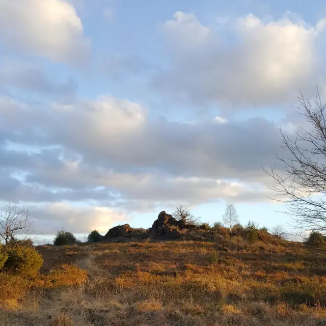 Sentier d'interprétation Landes du Cluzeau et de la Flotte_1