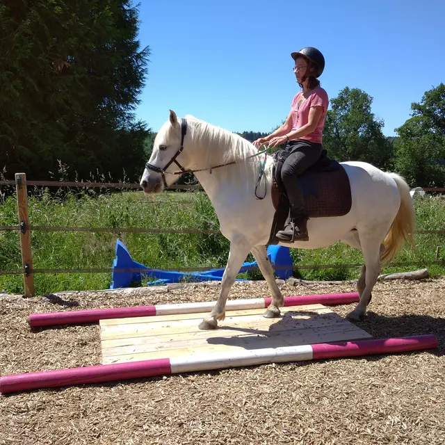 Centre équestre Les Chevaux de Tilcara à Château-Chervix_1