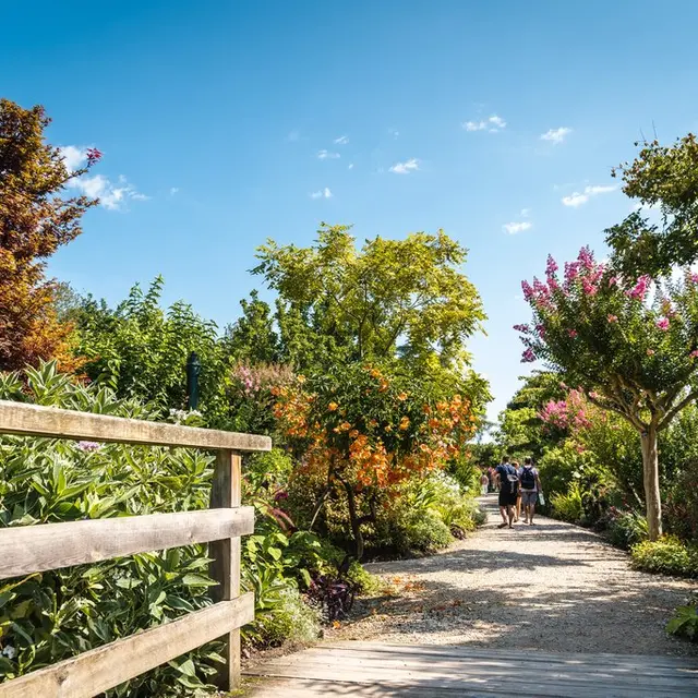 2021_sentiertourdulac_Mimizan (5) (Copier)