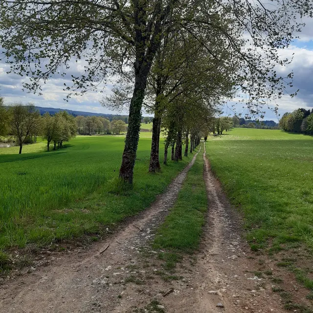chemin