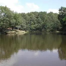 Etang de la marche à Coussac Bonneval_1