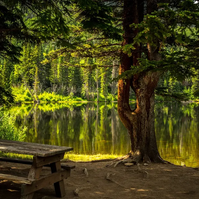 Aire de pique nique à Blanzac