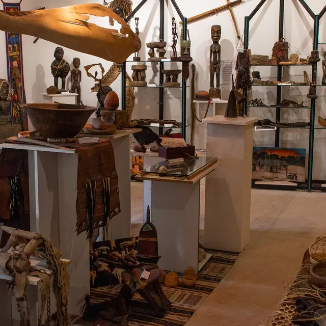 Cabinet de curiosités africaines