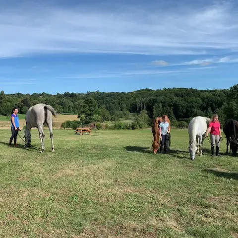 Aire de bivouac de Saint-Méard_1