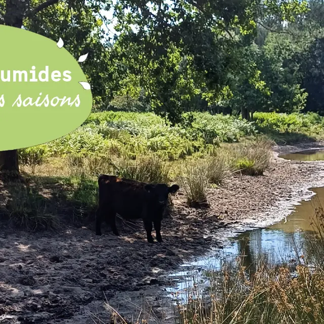 25.02---Vendays---14h-16h