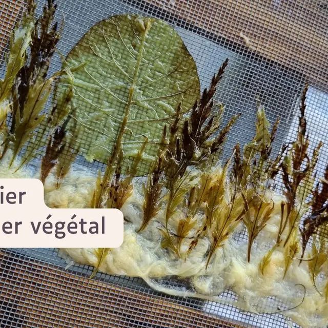 26-06-20 Atelier papier végétal OT Sans descriptif - 1