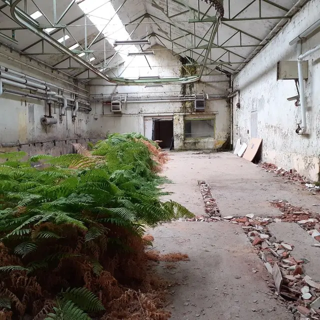 28 salle des teintures