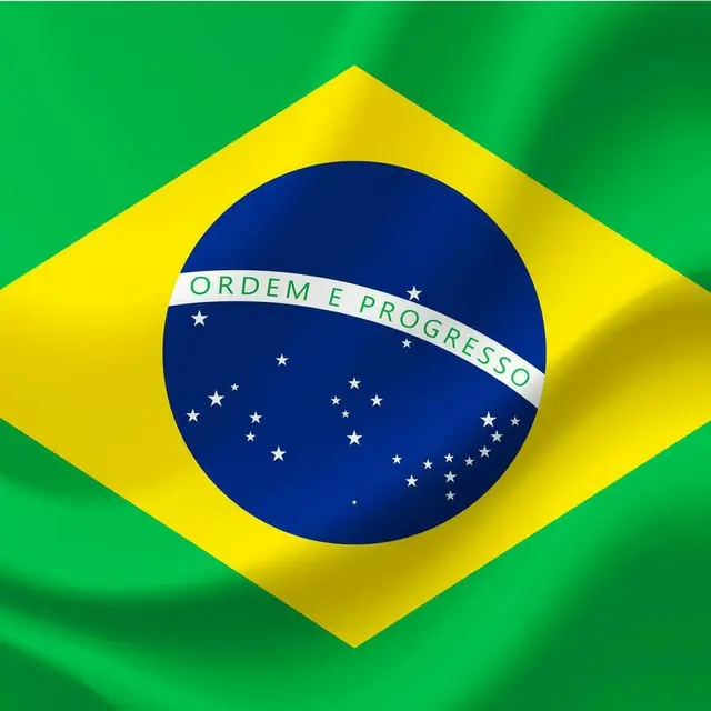 Drapeau brésilien