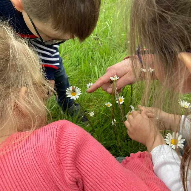 31_Observons les insectes@pnrpl