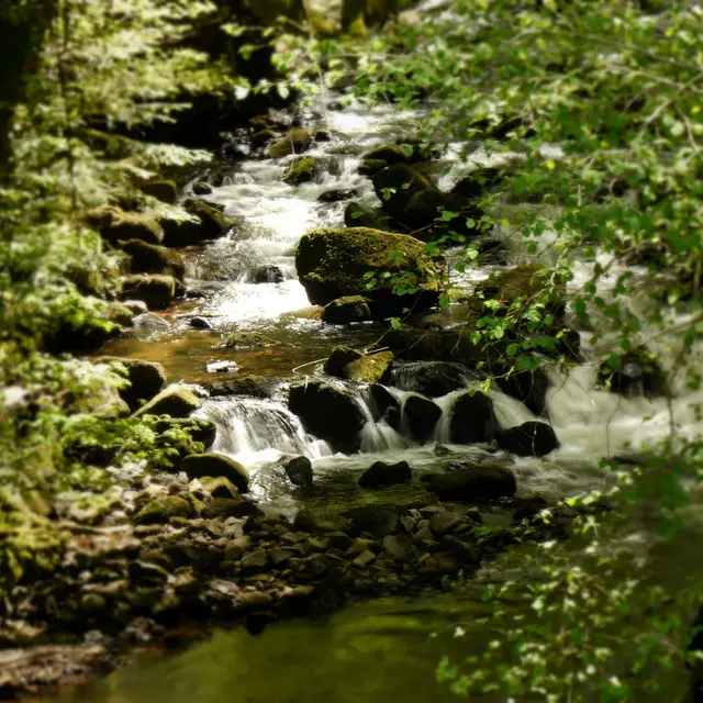 34239972485_76cae1c6af_k