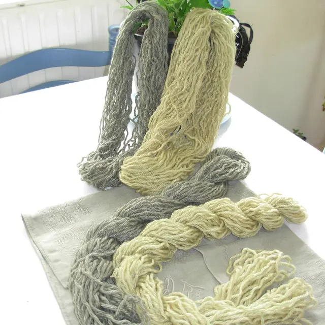 teinture de fougères