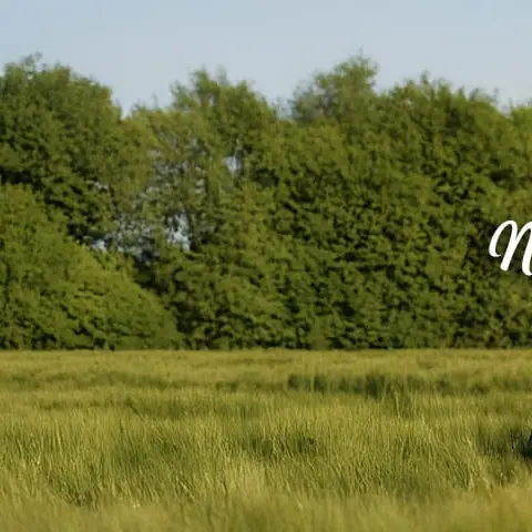 thomas-marty-tickets_404727_3348569_1240x480