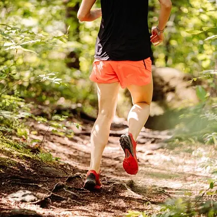 trail-g8a071e52d_640