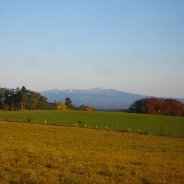 variante2_Sancy1