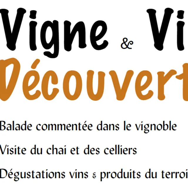 visite commentee