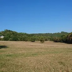 vue1