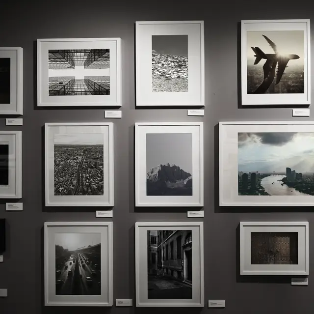 Expo photos Entre glace et plume