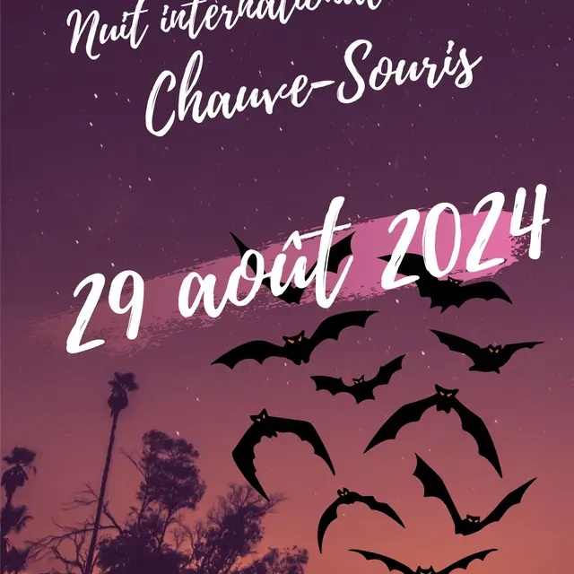 AFFICHE KATIA  - 7