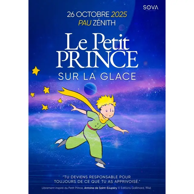 AFFICHE LE PETIT PRINCE