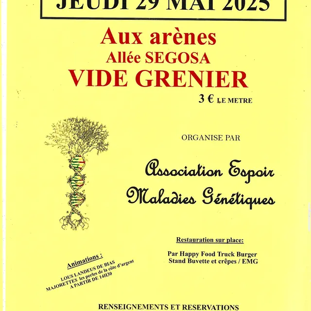 AFIICHE VIDE GRENIERS EMG