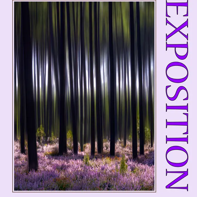 exposition photographies