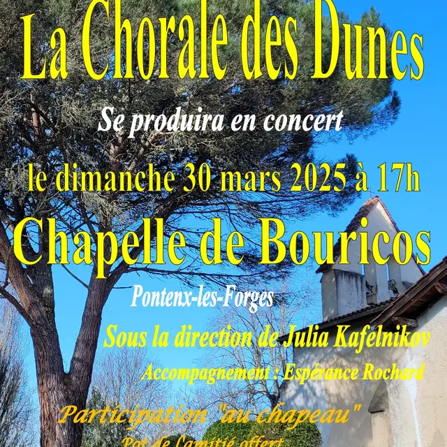 Affiche Bouricos 2025