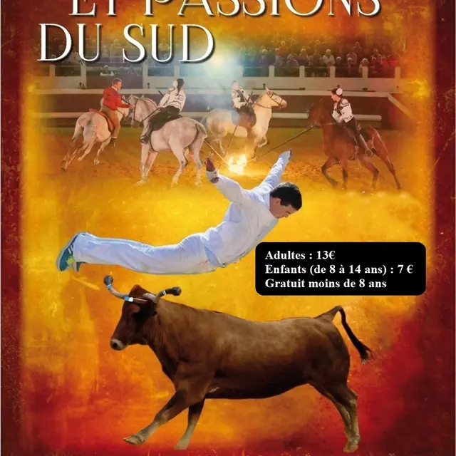 Affiche chevaux passions
