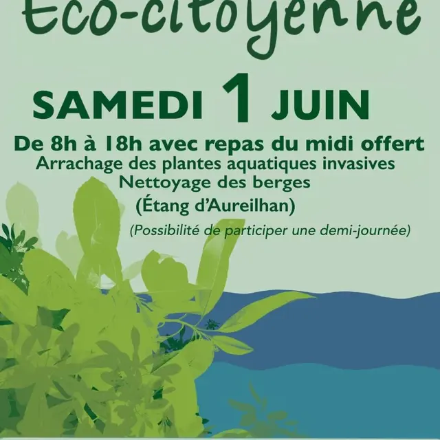 Arrachage_plantes_01062024