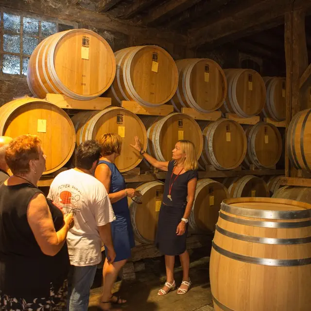 Arthez d'Armagnac - Domaine d'Ognoas - Chai - Visite Guidée_1