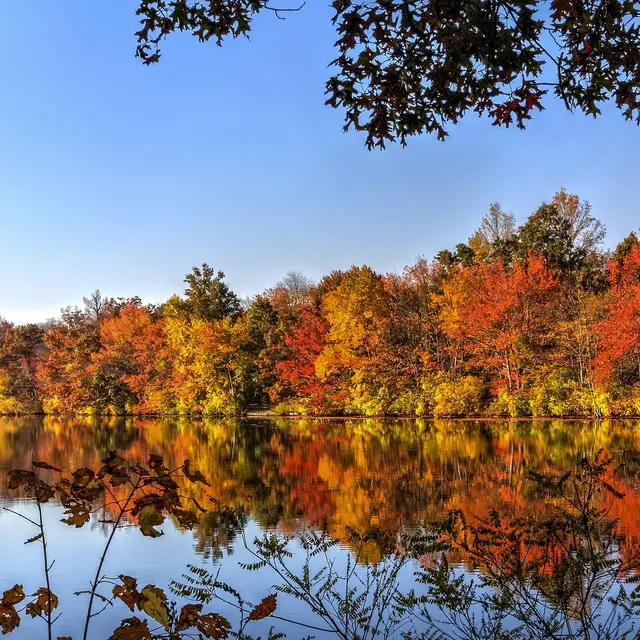 Automne