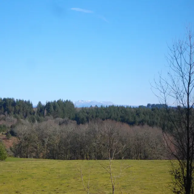 AuxRieux_Sancy