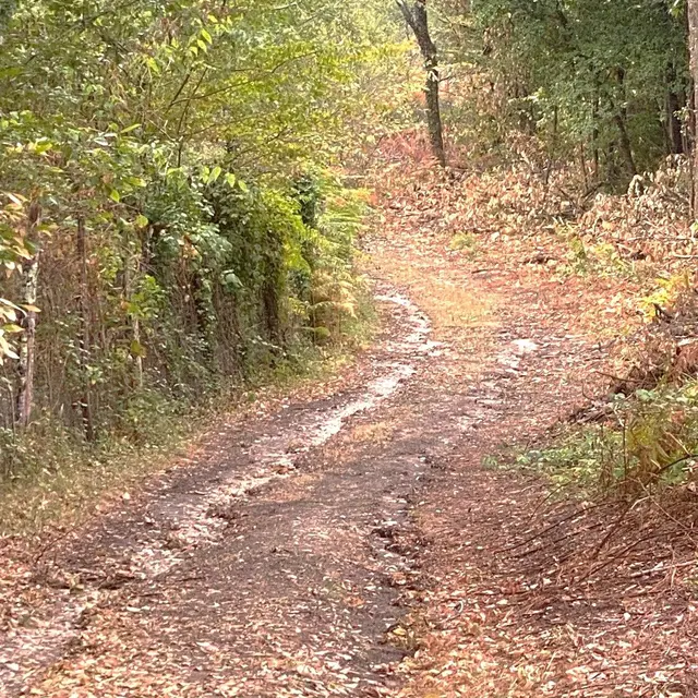 BOURROU-Boucle de Chantecoucou-Chemin