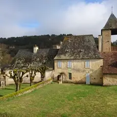 Bcledesplantadescloche1