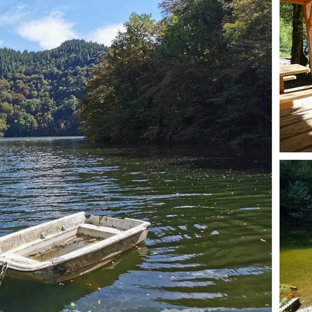 Green Minimalist Leaf Photo Collage - 3