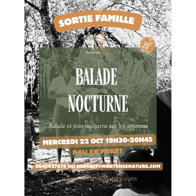 Balade Nocturne