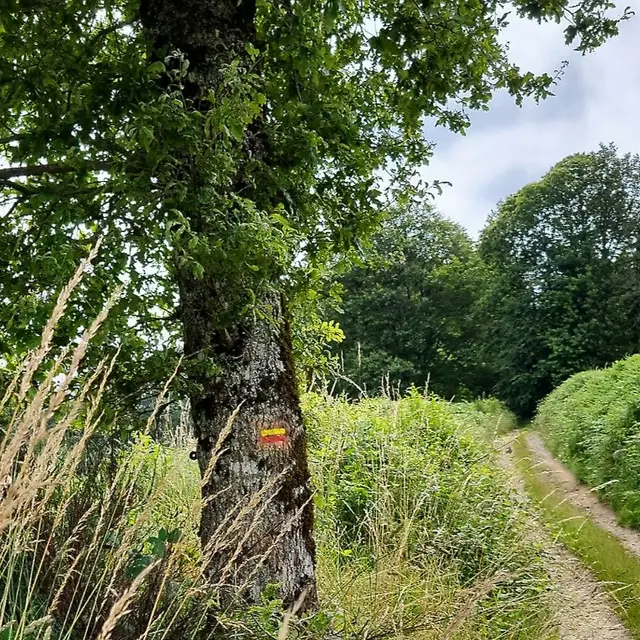 Balisage dans le chemin de la Veytisou (Neuvic-Entier)