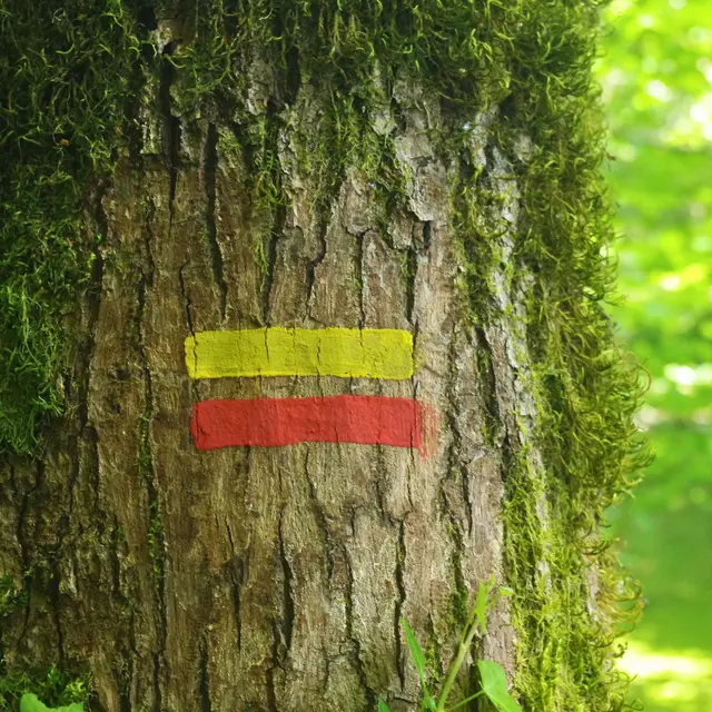 Balise GRPMBL - Chemin de la Farge à Bospertus (Bujaleuf) - Mai 2025