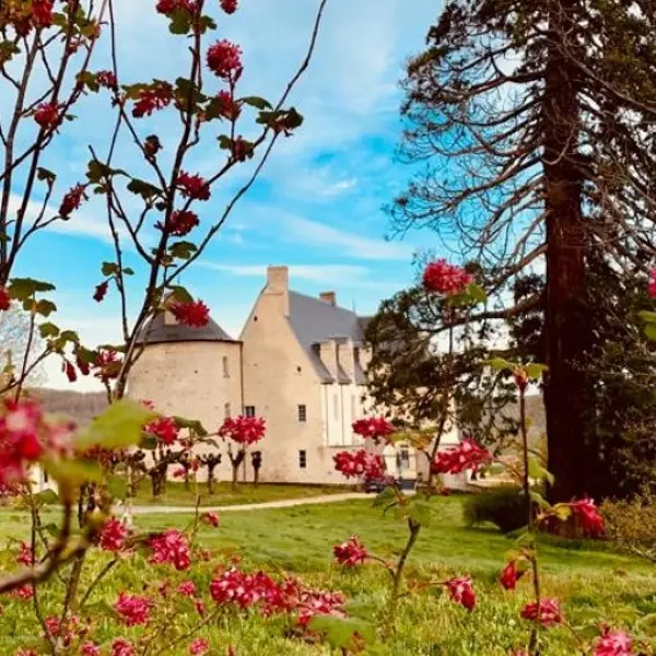 ChateauduChambon1