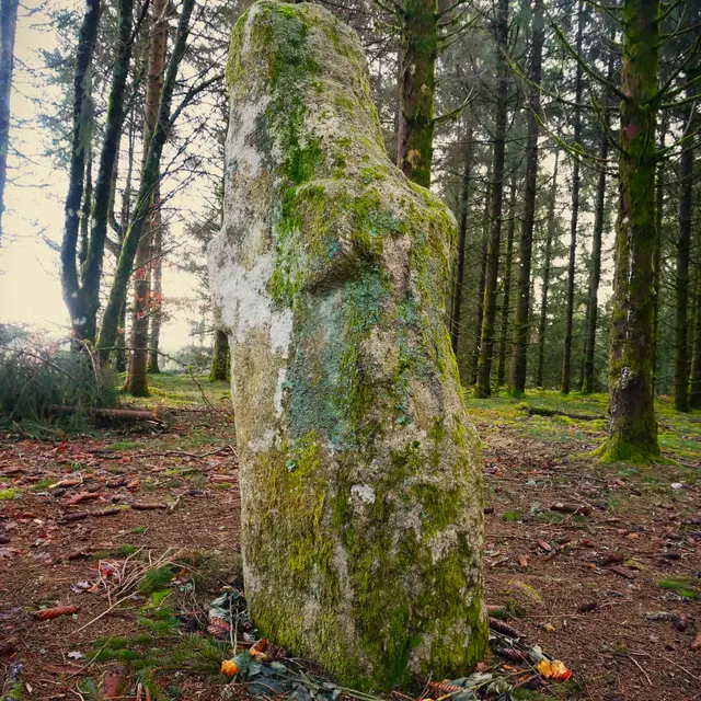 Bonnefond Menhir du Pilard ©N JUmelle (1)