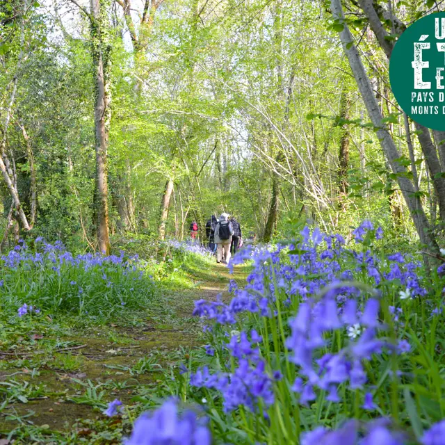 Sortie nature - Sentier musical de Pageas
