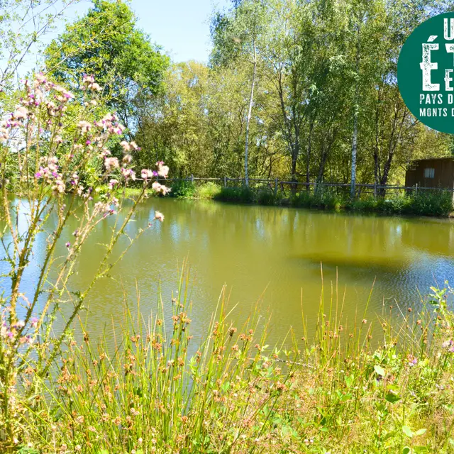 Sortie nature à l'espace Lamaud Desbordes