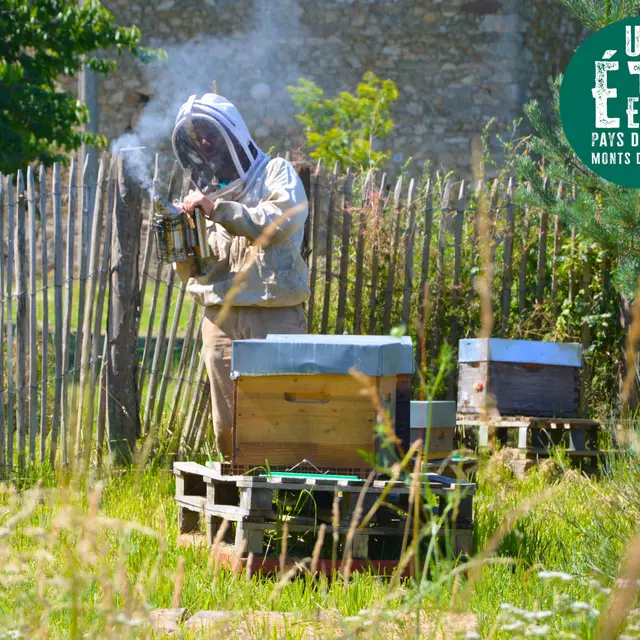 À la rencontre des producteurs - La miellerie Paysages de Miels