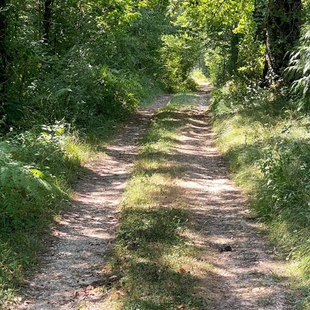 CENDRIEUX-Boucle des Hauts du Vern-Chemin