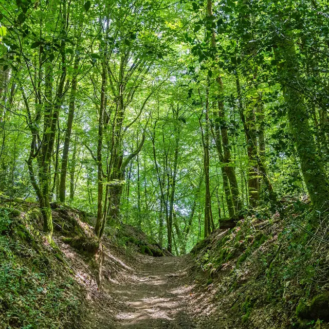 COMPREIGNAC Chemin petits ruisseaux