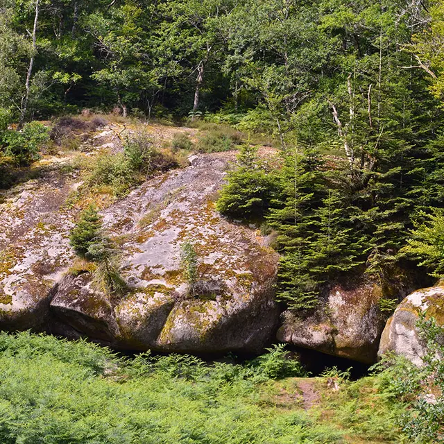 COMPREIGNAC Roches aux fées (3)