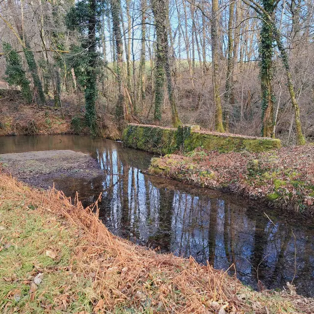 Canal de la Villatte - La Siauve - Beyssac © JL OT TDC (4)