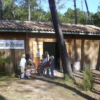 Cabane du Résinier