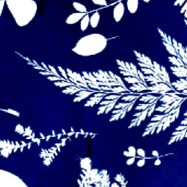 Cyanotype