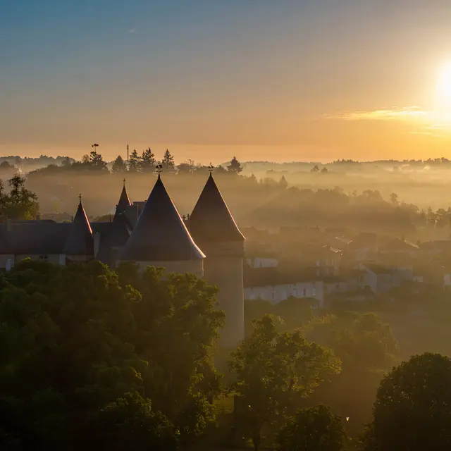 Célébration des 40 ans du Musée d’art contemporain de la Haute-Vienne