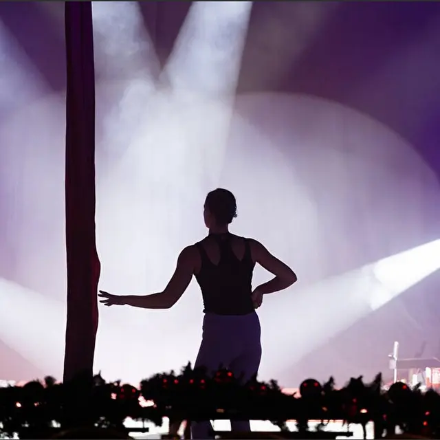 Cirque de Noël 2025 - Pau - spectacle